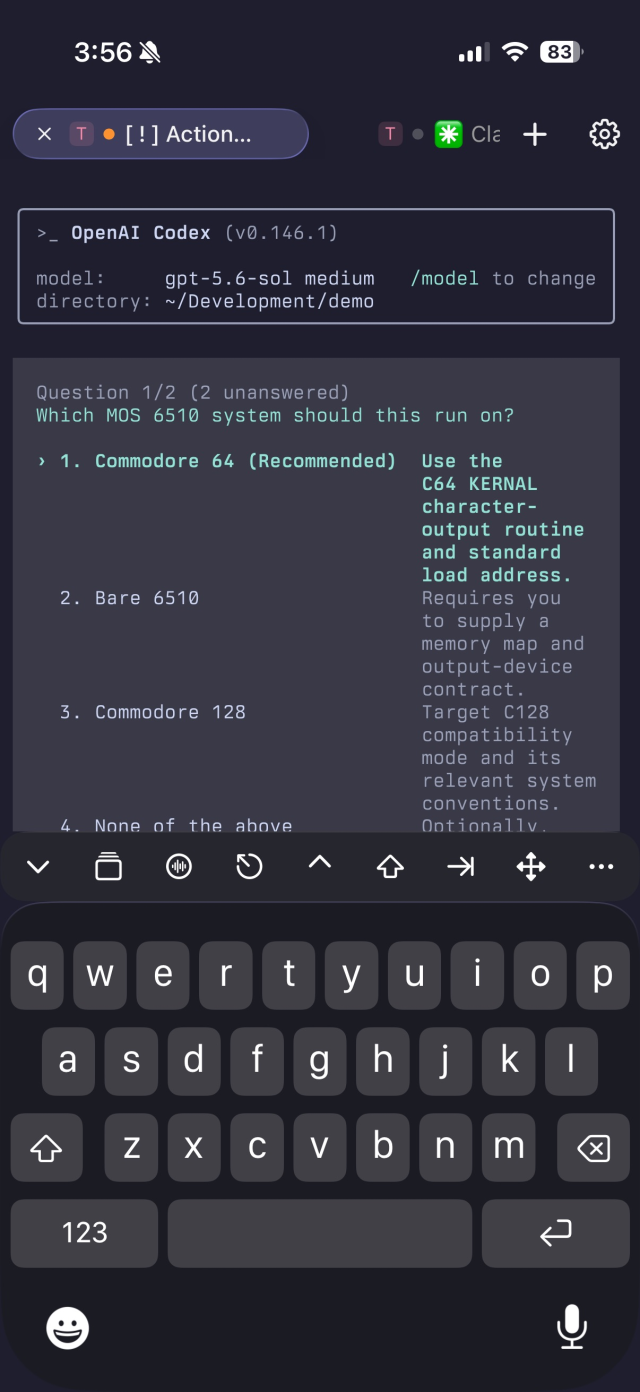rootshell on iPhone attached to the blocked Codex session with the on-screen keyboard open